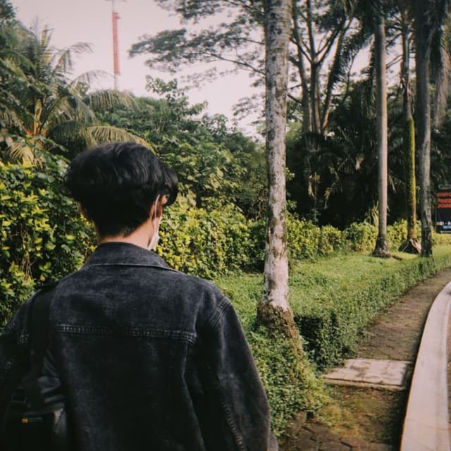 Zulfikar